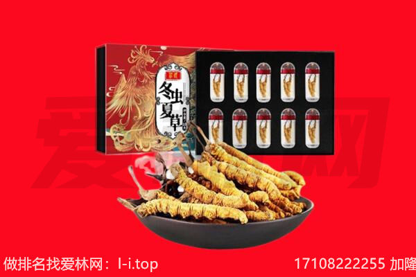 文峰区回收虫草.jpg